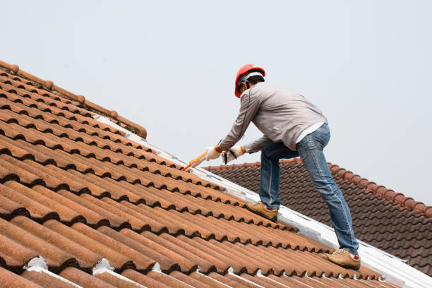 Best Asphalt Shingles Roofing  in Blue Island, IL