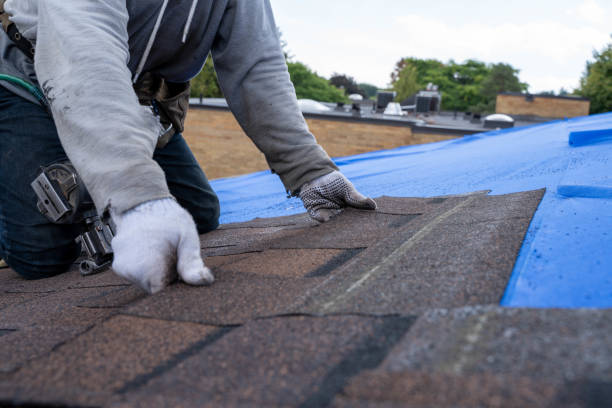 Fast & Reliable Emergency Roof Repairs in Blue Island, IL