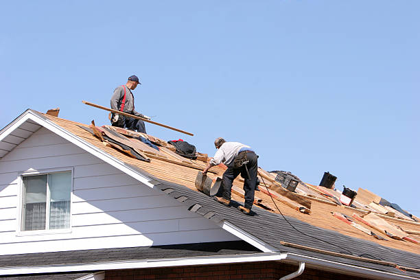 Best Roofing for New Construction  in Blue Island, IL