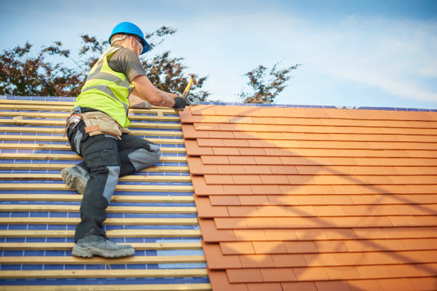 Best Skylight Installation and Repair  in Blue Island, IL